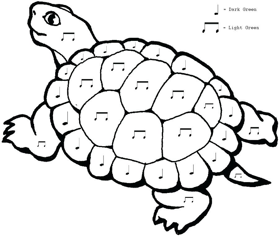 Tortoise Coloring Page Check Out New Work On My Portfolio Dim Sum 900x762 Tortoise Coloring Page Check Out New Work On My Portfolio Dim Sum