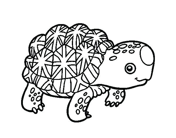 Tortoise Coloring Page Tortoise Coloring Page Tortoise Coloring 600x470 Tortoise Coloring Page Tortoise Coloring Page Tortoise Coloring