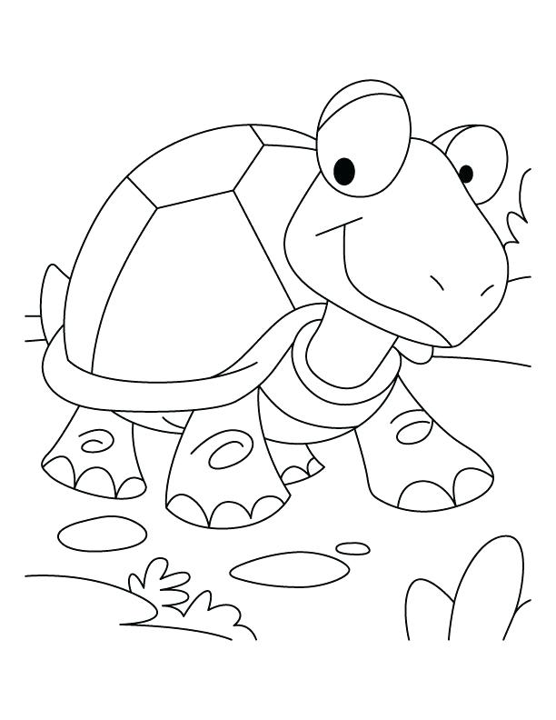 Tortoise Coloring Page Tortoise Won The Race Coloring Pages 612x792 Tortoise Coloring Page Tortoise Won The Race Coloring Pages