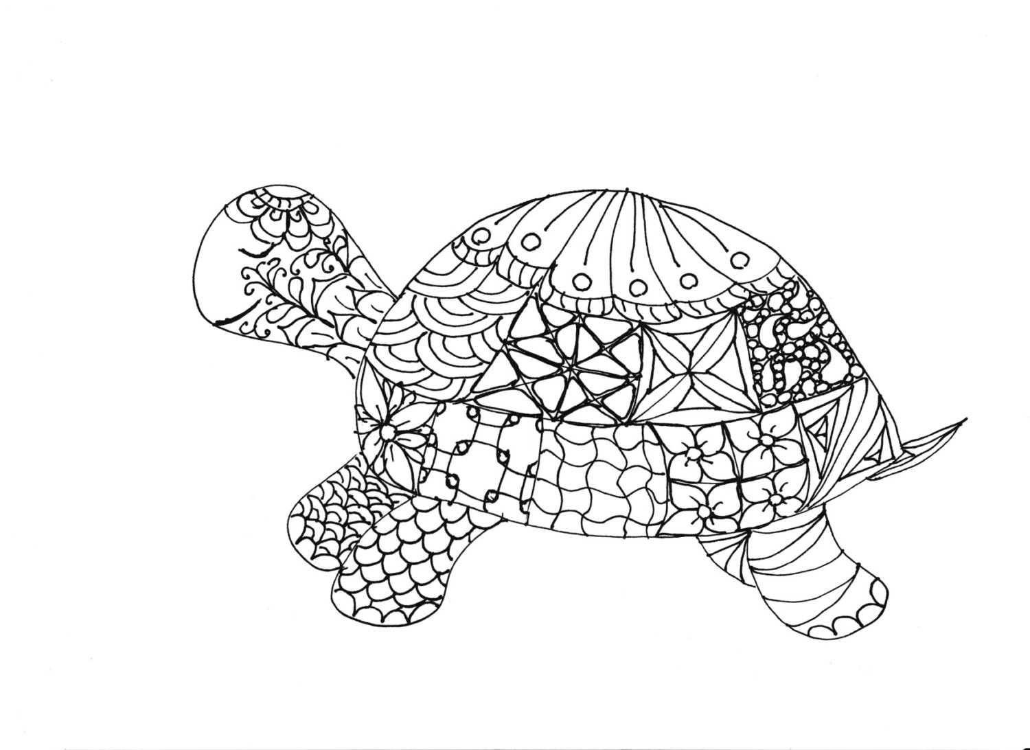 Fresh Tortoise Page To Color Gallery Printable Coloring Sheet 1500x1092 Fresh Tortoise Page To Color Gallery Printable Coloring Sheet