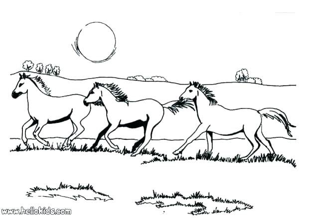 620x438 Barbie Horse Coloring Pages Galloping Horses Coloring Page Color