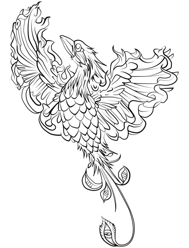 Image Result For Game Of Thrones Coloring Pages Pheonix Coloring 650x850 Image Result For Game Of Thrones Coloring Pages Pheonix Coloring