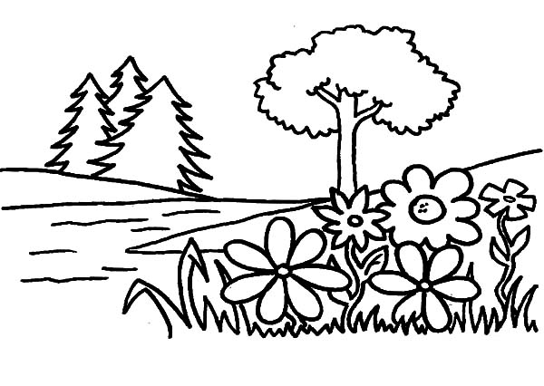 600x426 Flower Garden Coloring Pages Color Luna
