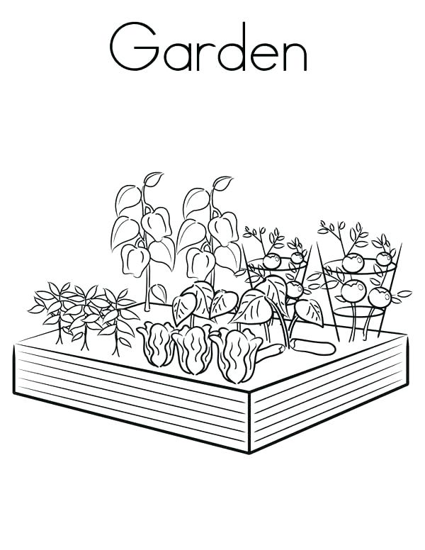 600x776 Garden Coloring Pages Vegetable Garden Coloring Sheets Spring