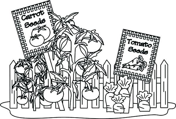600x407 Garden Of Eden Coloring Pages Here Are Garden Coloring Page Images