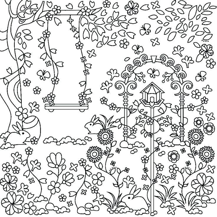 736x736 Garden Coloring Page Butterfly With Flower In The Garden Colouring