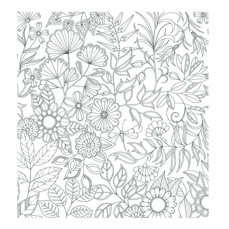 736x736 Enchanting Mandala Coloring Pages Free Printable Garden Coloring