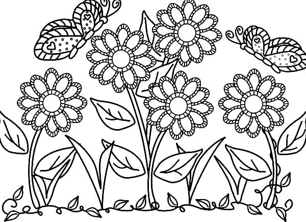 600x435 Flower Coloring Pages Adult Flower Coloring Pages Flower Coloring
