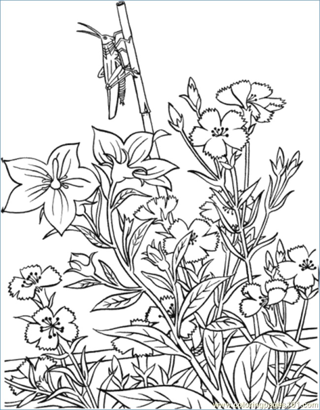 Flower Garden Coloring Pages Printable 650x832 Flower Garden Coloring Pages Printable