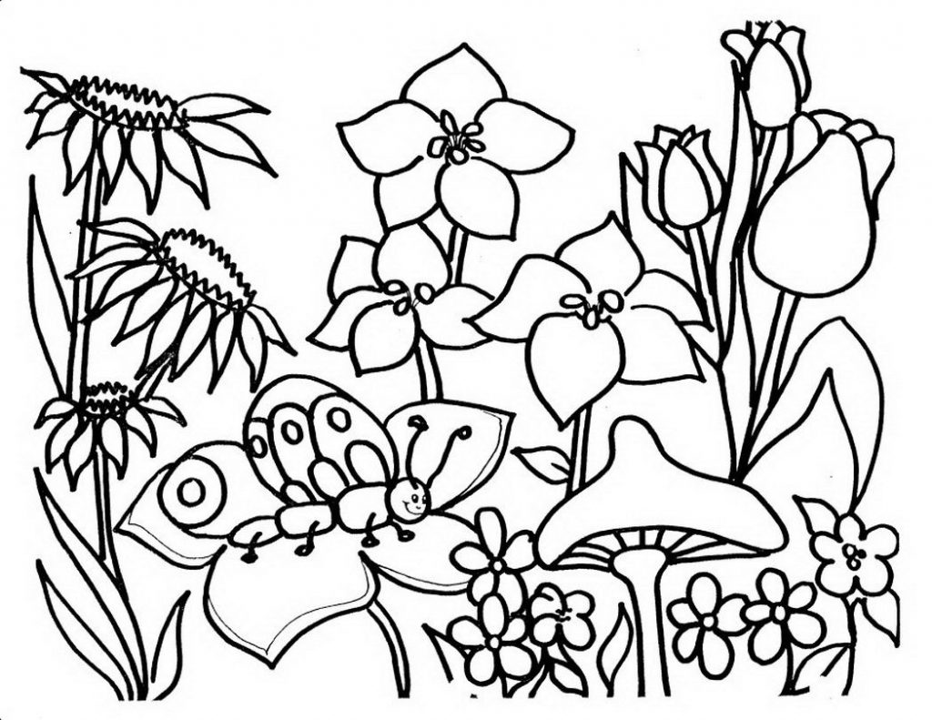 Free Coloring Pages Garden Toolsreshlower Amazing Beautiful Page 1024x791 Free Coloring Pages Garden Toolsreshlower Amazing Beautiful Page