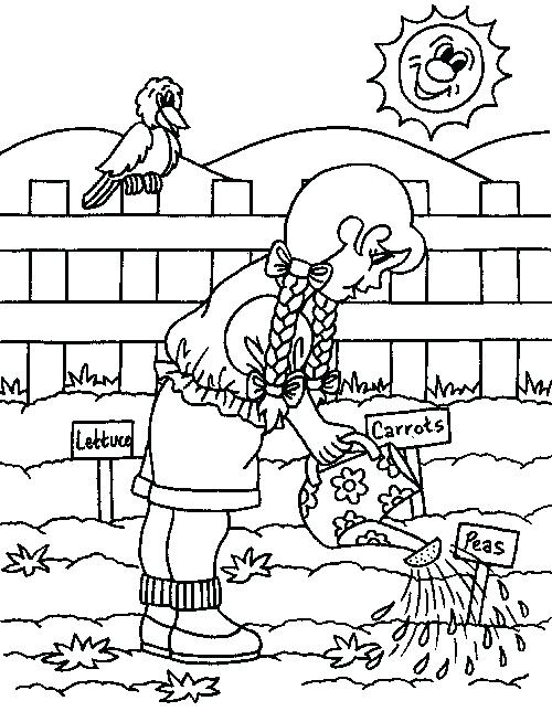 Gardening Coloring Pages For Preschool Garden Coloring Pages 500x654 Gardening Coloring Pages For Preschool Garden Coloring Pages