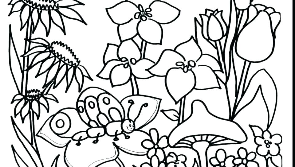 Butterfly On Garden Spring Day Coloring Picture For Kids Spring 960x544 Butterfly On Garden Spring Day Coloring Picture For Kids Spring