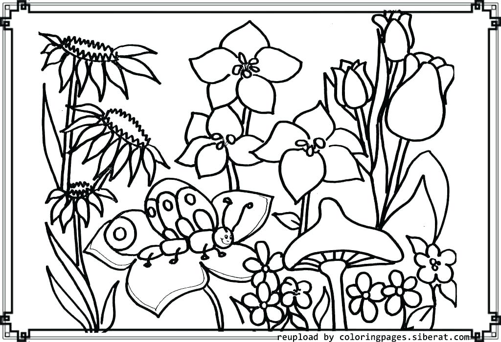 Flower Garden Coloring Pages Page House 1024x700 Flower Garden Coloring Pages Page House