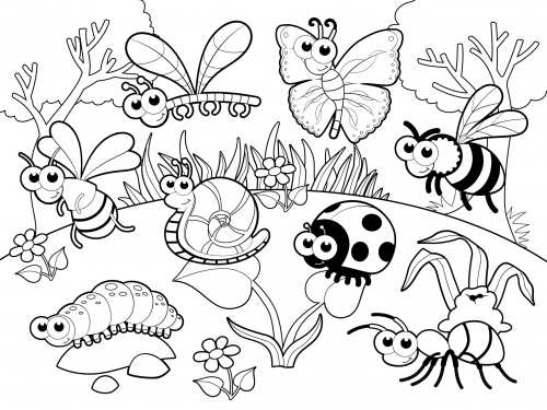 Detailed Coloring Page Bugs In Our Garden 500x375 Detailed Coloring Page Bugs In Our Garden