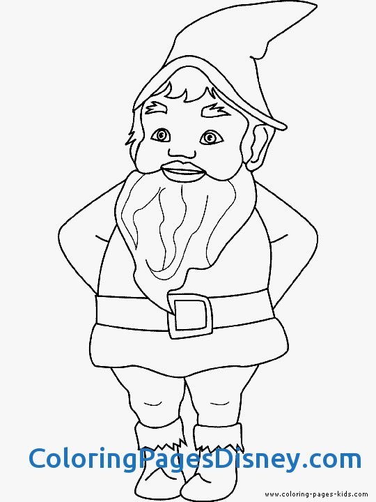 540x720 Gnomes Ampamp Dwarfs Coloring Pages Awesome Garden Gnome Coloring