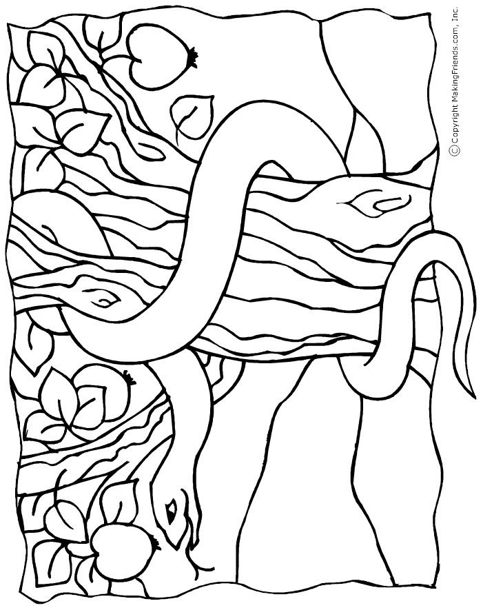 Snake In The Garden Of Eden Colouring Page The Creation Story 701x885 Snake In The Garden Of Eden Colouring Page The Creation Story