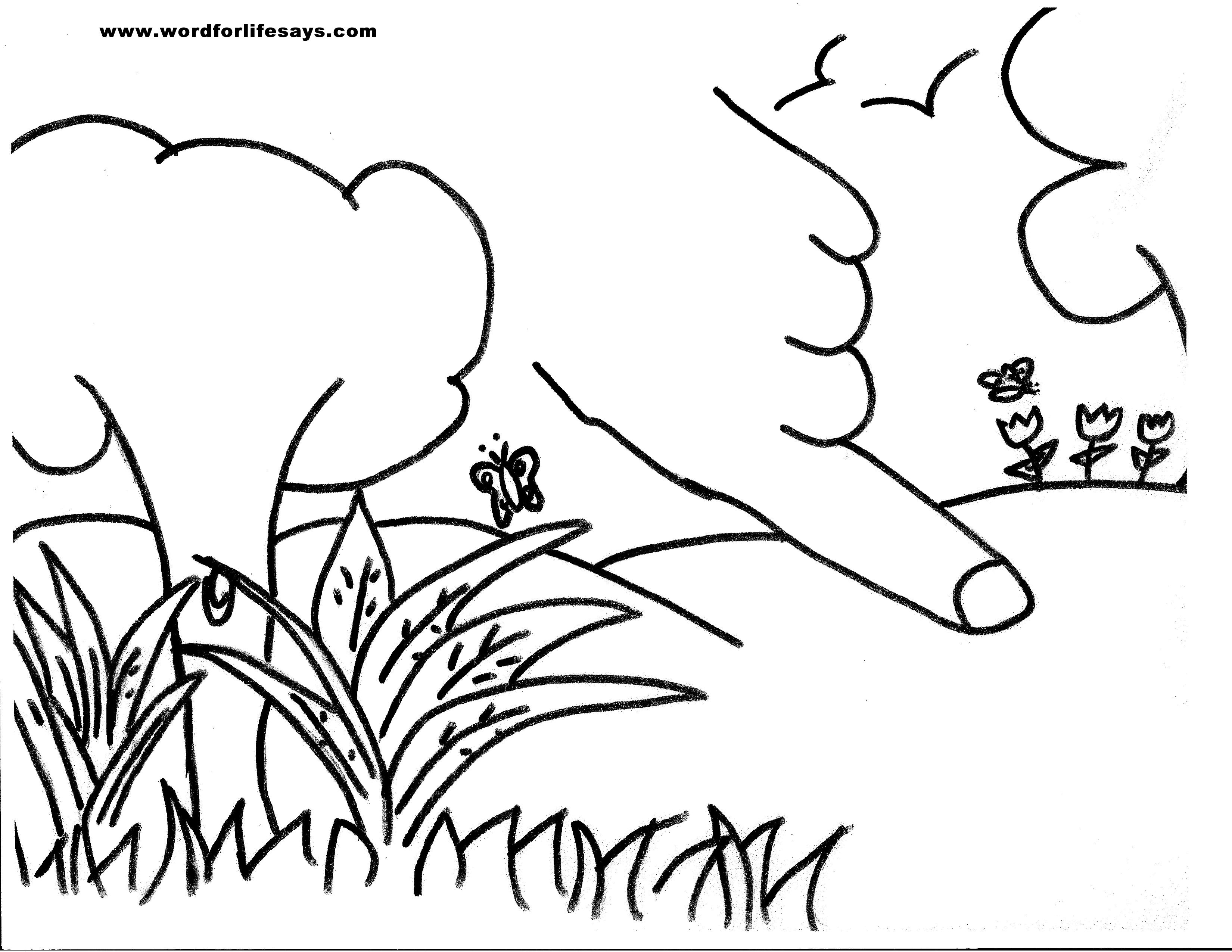 Tree Of Knowledge Of Good And Evil Free Coloring Pages Download 3300x2550 Tree Of Knowledge Of Good And Evil Free Coloring Pages Download