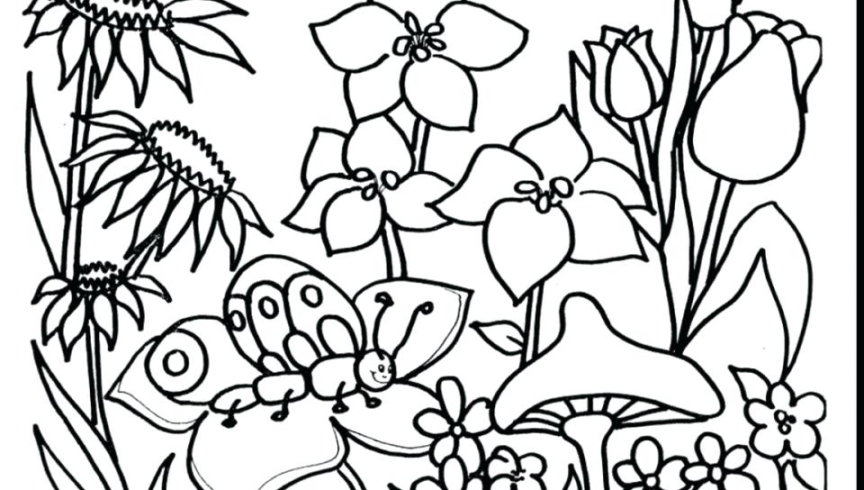 960x544 Gardening Tools Coloring Pages Catchy Garden Coloring Pages Image