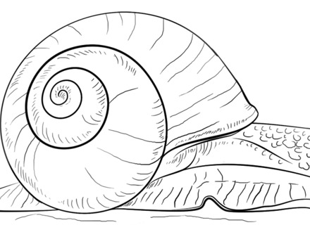 34 Snail Coloring Pages, Gary The Snail Coloring Pages Coloring 440x330 34 Snail Coloring Pages, Gary The Snail Coloring Pages Coloring