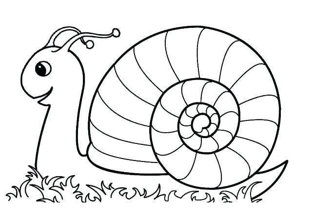 Coloring Pages Mollusks Snail Reaching Finish Line Coloring Pages 640x453 Coloring Pages Mollusks Snail Reaching Finish Line Coloring Pages