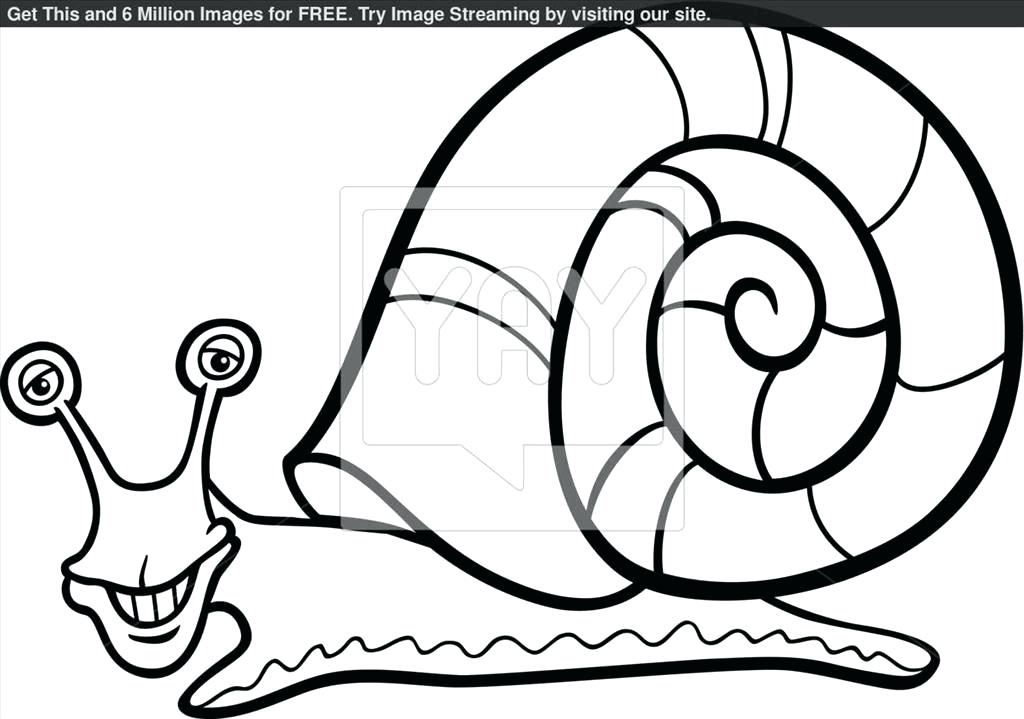 1024x719 Snail Coloring Page Snail Coloring Page Printable Snail Coloring