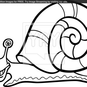 300x300 Adult Snail Colouring Pages Snail Coloring Pages For Kids. Snail