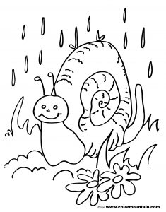 235x300 Coloring Pages Snail General Preschool Of Gary The High Quality