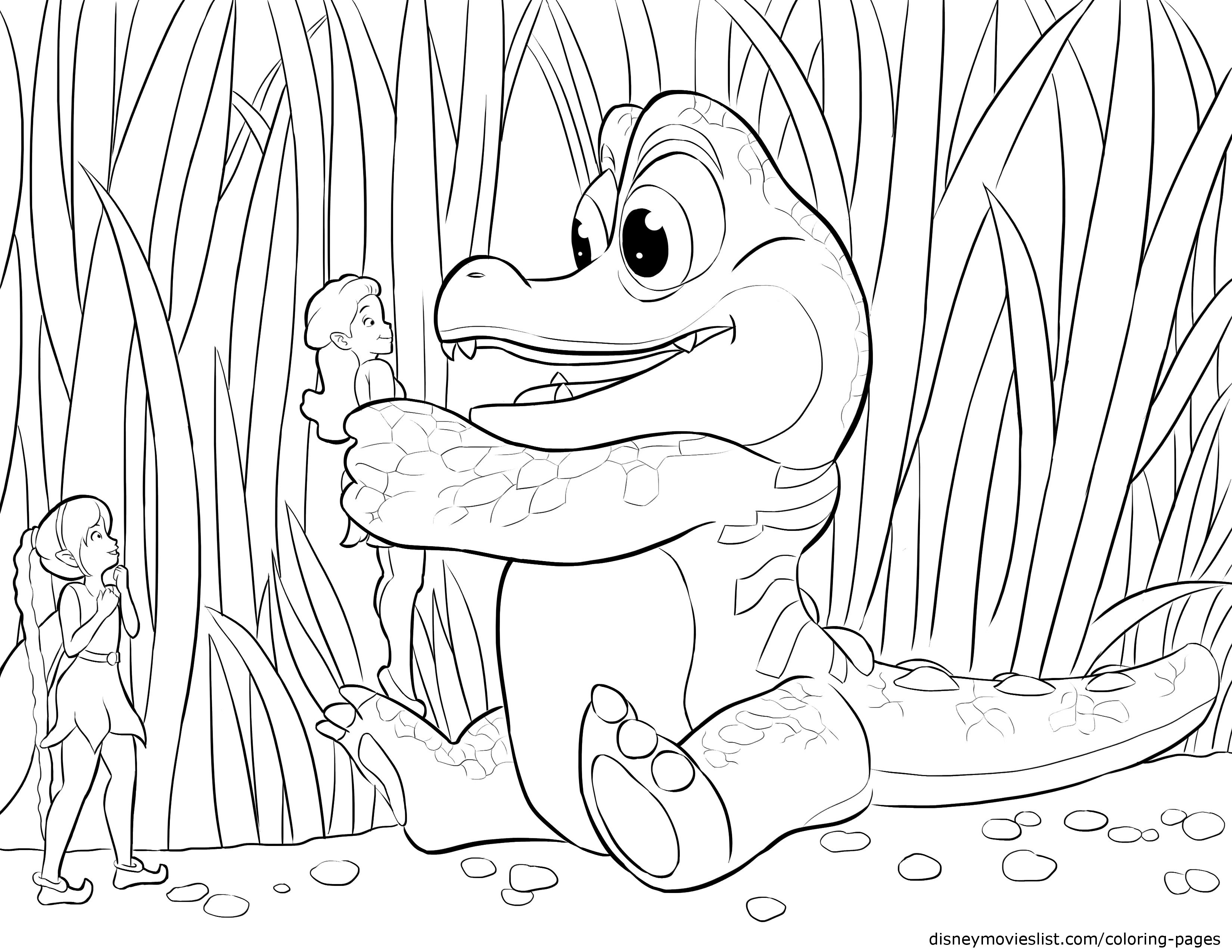 3300x2550 Competitive 5 Little Pumpkins Sitting On A Gat