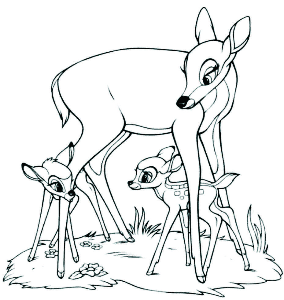 Free Animals Gazelles Printable Coloring Pages For Preschool 929x981 Free Animals Gazelles Printable Coloring Pages For Preschool