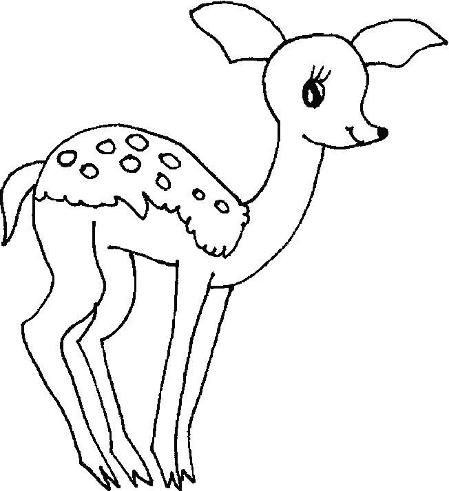 Deers Coloring Page 4 Antelope Coloring Pages 652x713 Deers Coloring Page 4 Antelope Coloring Pages