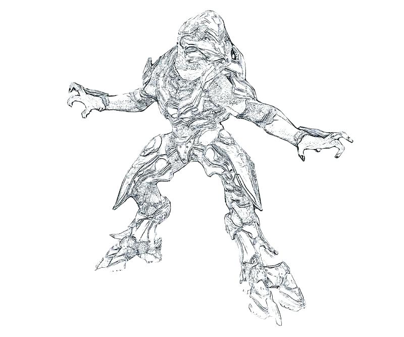 800x667 Spartan Coloring Pages 4 H Coloring Pages 4 H Coloring Sheets