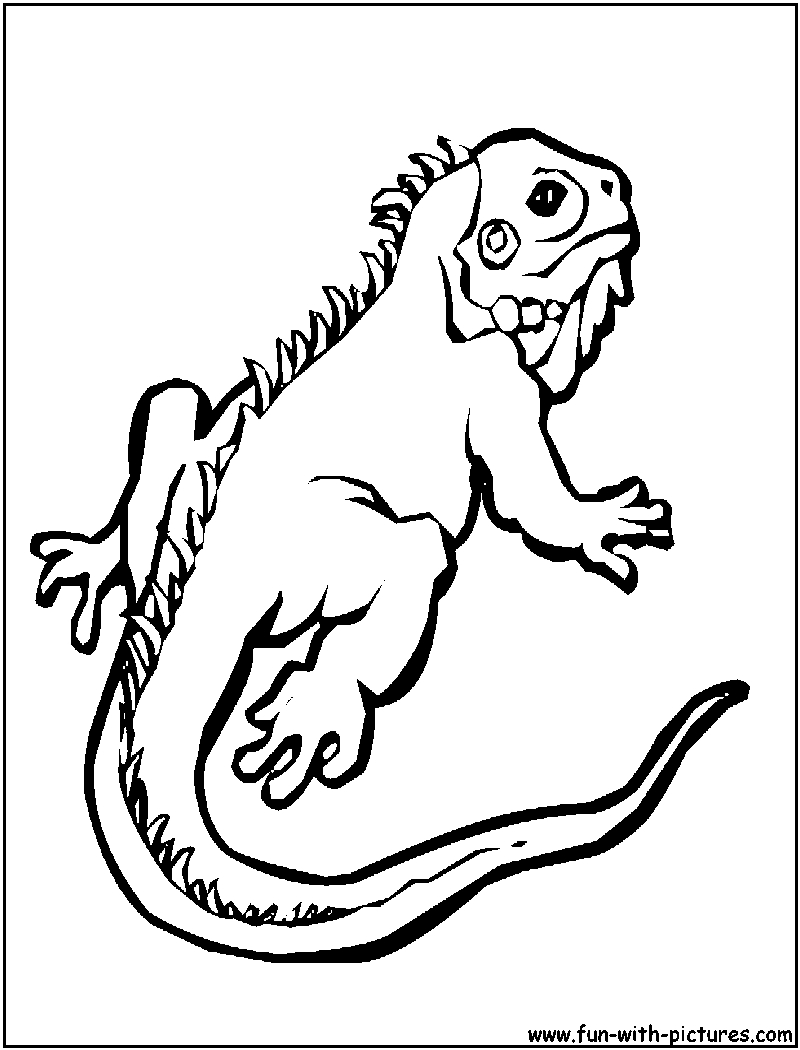 Gecko Coloring Page at GetColorings.com | Free printable colorings ...