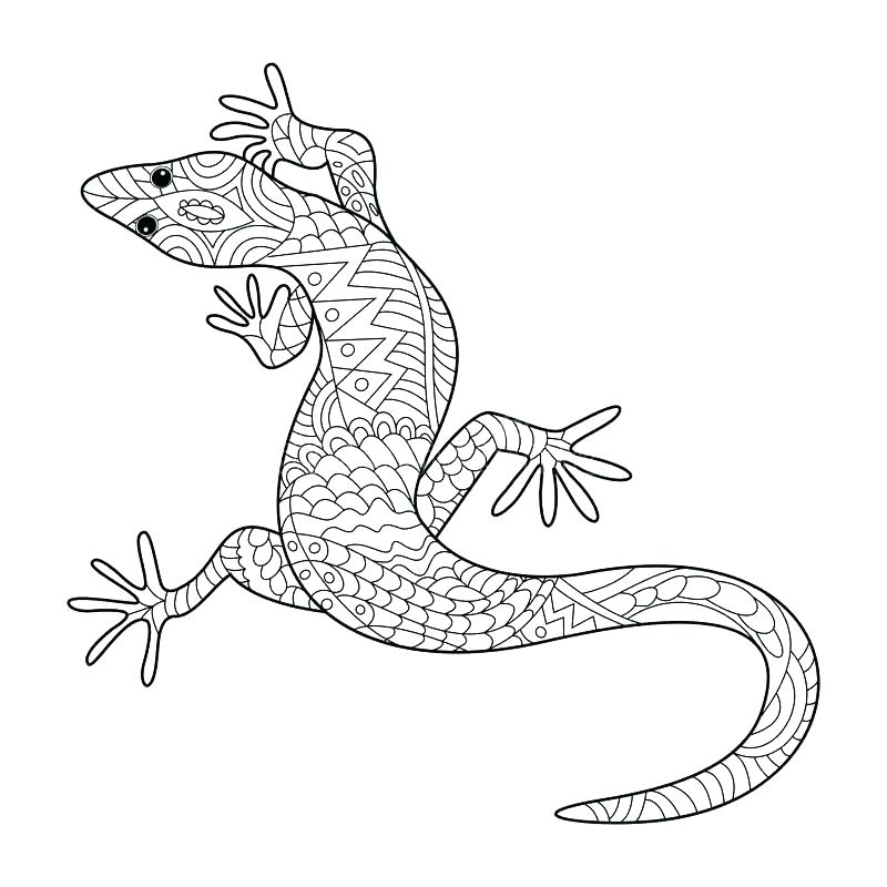800x800 Gecko Coloring Page Gecko Coloring Pages Lizard Leopard Gecko