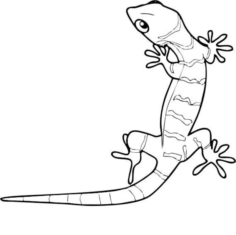825x821 Cartoon Gecko Coloring Pages Download And Print For Free