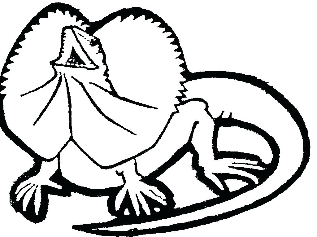 1024x765 Gecko Coloring Pages Printable Lizard Coloring Pages For Kids