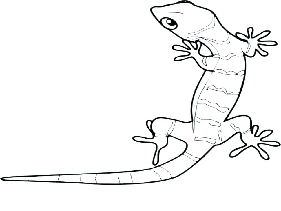 970x728 Gecko Coloring Pages Printable
