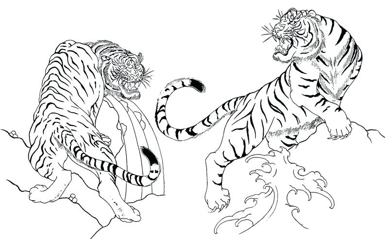 Geisha Coloring Pages Japan Tigers More Coloring Pages Geisha 795x492 Geisha Coloring Pages Japan Tigers More Coloring Pages Geisha