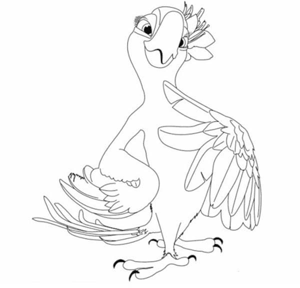 Jewel The Gem Of The Forest In Rio Movie Coloring Pages Batch 600x576 Jewel The Gem Of The Forest In Rio Movie Coloring Pages Batch