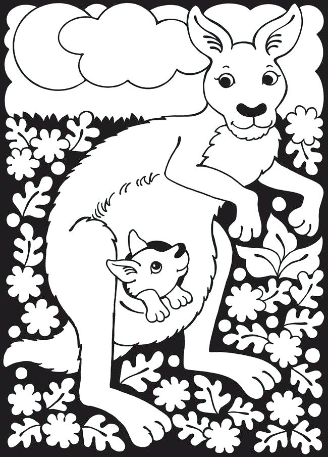 650x904 Geography Coloring Pages Kangaroo Page Unit Terms Coloring