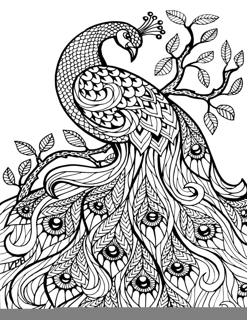 791x1024 Free Printable Coloring Pages For Adults Geometric Erf Throughout