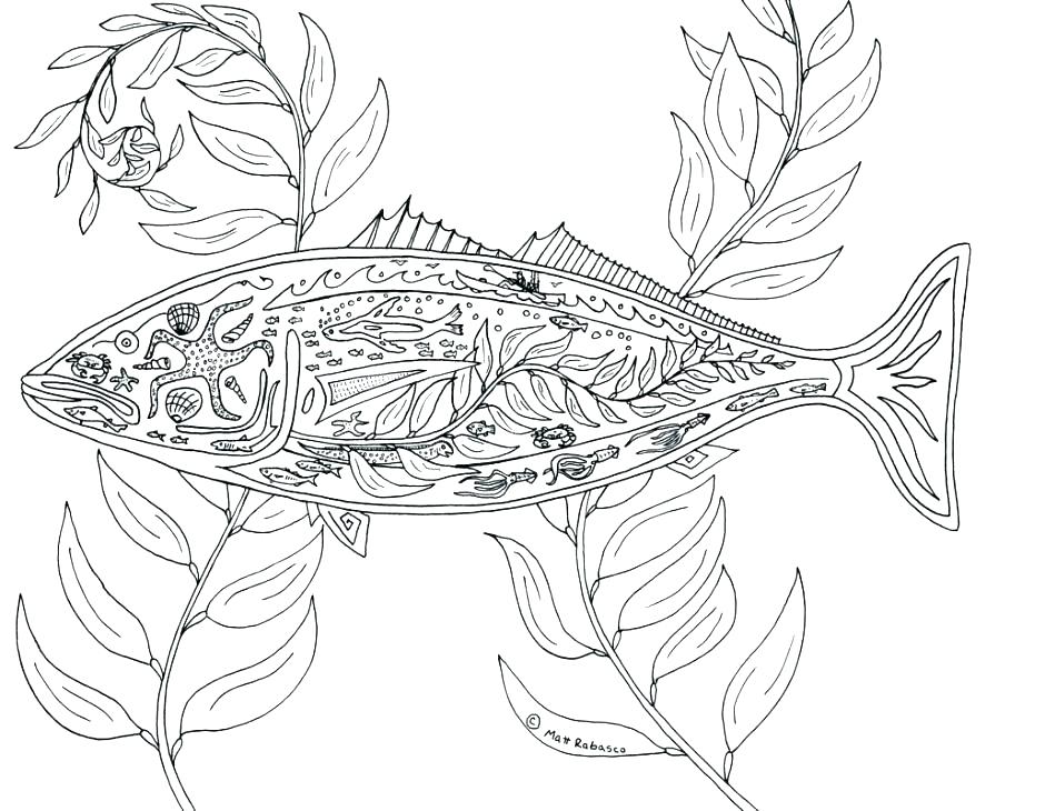 940x730 Geographic Coloring Pages Animal Coloring Page Wanted Jungle