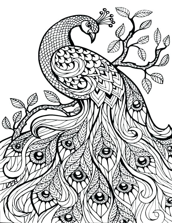 Geometric Coloring Pages Adults Free Printable P Interest For G 580x751 Geometric Coloring Pages Adults Free Printable P Interest For G