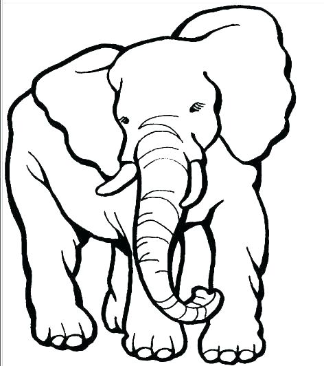 472x532 Coloring Pages Of Elephants Coloring Pages Elephant Elephant