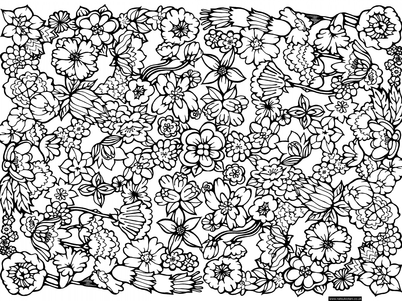 1600x1200 Geometric Patterns Coloring Pages Date Nights Free