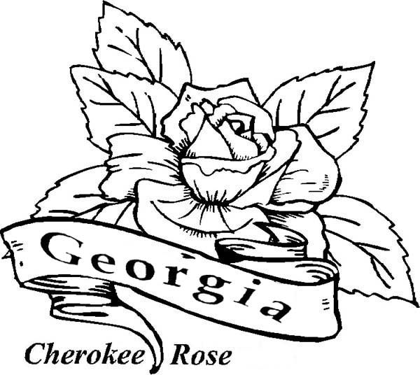 600x536 Georgia Cherokee Rose Coloring Pages Voteforverde Happy Ga Day