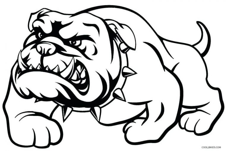 768x509 Dog Coloring Pages Georgia Bulldogs Coloring Pages Printable Dog