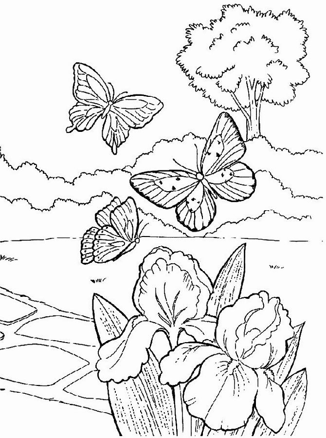 670x900 Georgia O Keeffe Coloring Pages Coloring Picture Animal