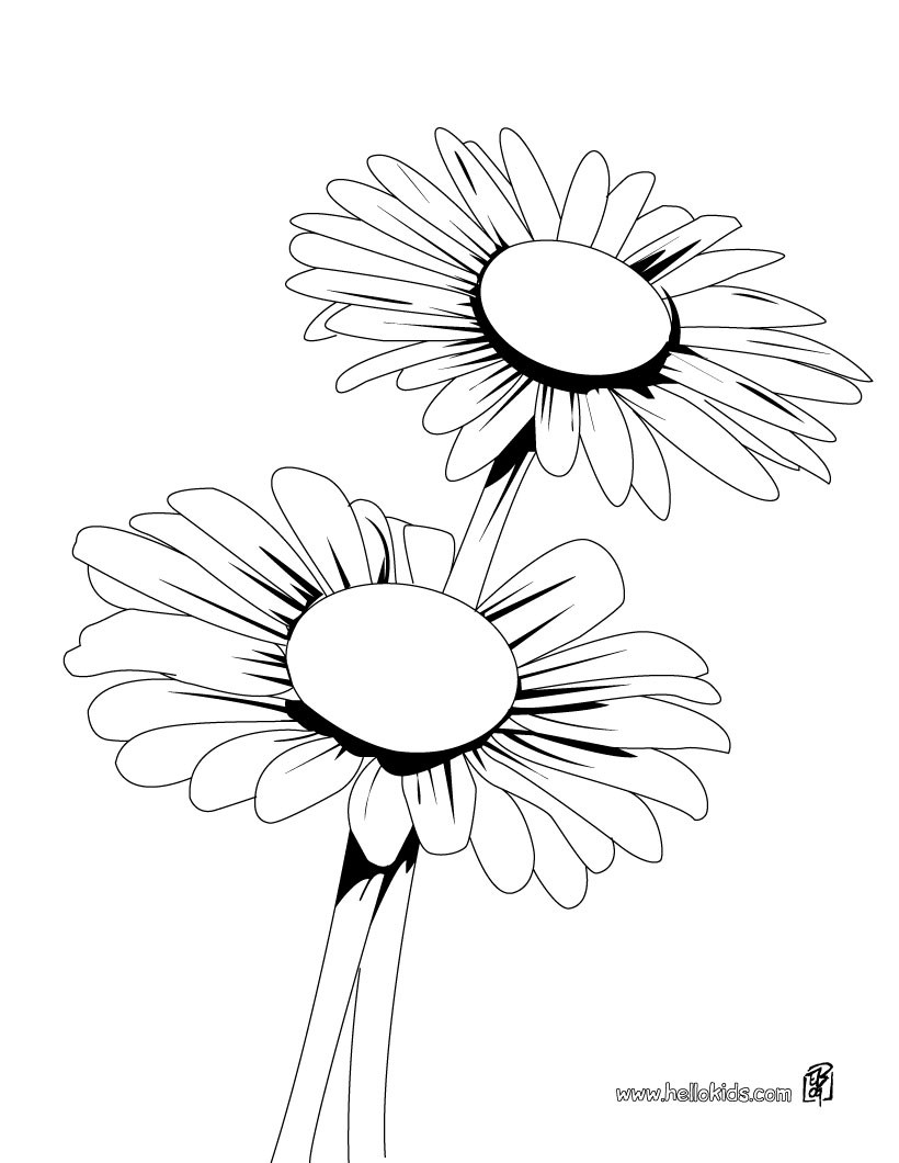 Daisy Coloring Pages 820x1060 Daisy Coloring Pages