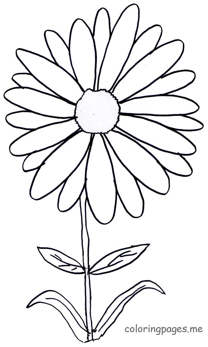 Daisy Coloring Pages Page 1 0 700x1169 Daisy Coloring Pages Page 1 0