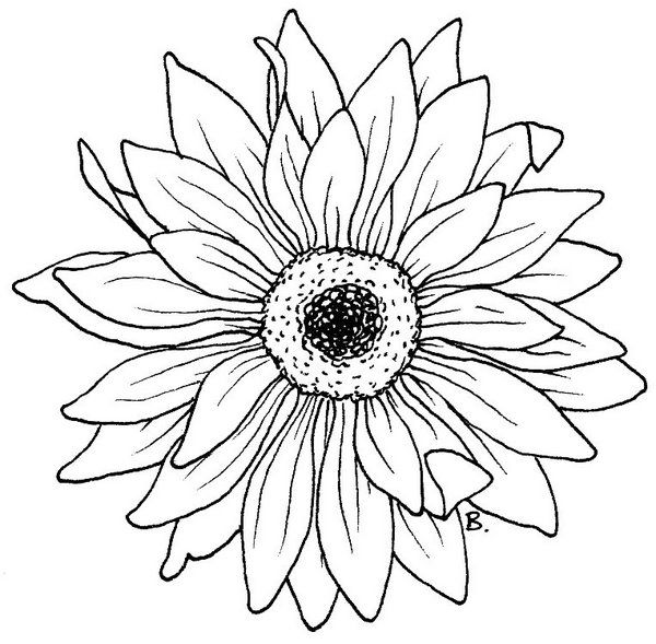 400 Best Line Drawings (Flowers 1) Images On Drawings 600x589 400 Best Line Drawings (Flowers 1) Images On Drawings